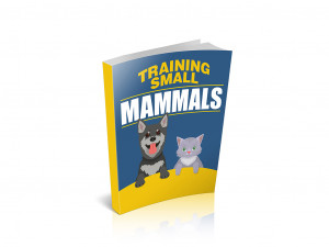 Training Small Mammals